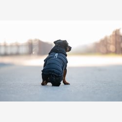 Catago Fir-Tech Puffer Hundedkken