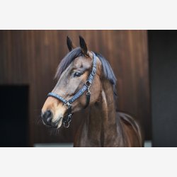 Catago Alea reflekterende grime - Sort