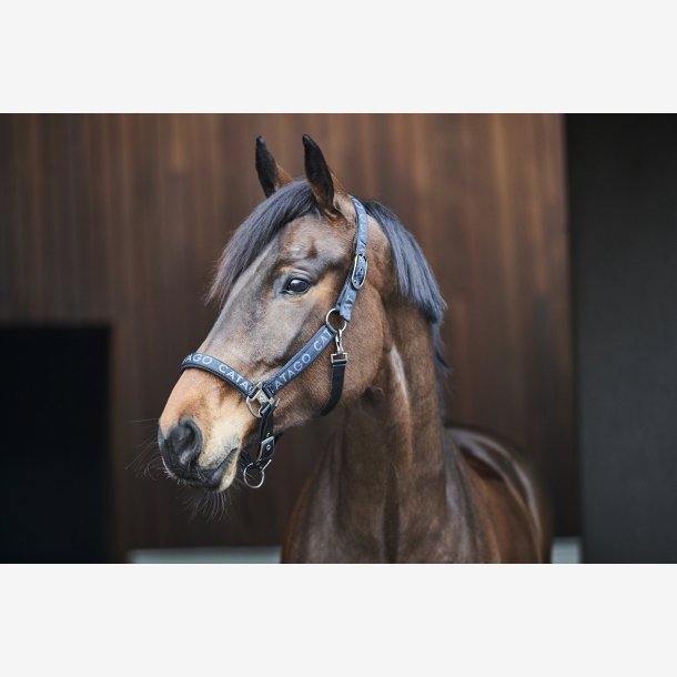 Catago Alea reflekterende grime - Sort