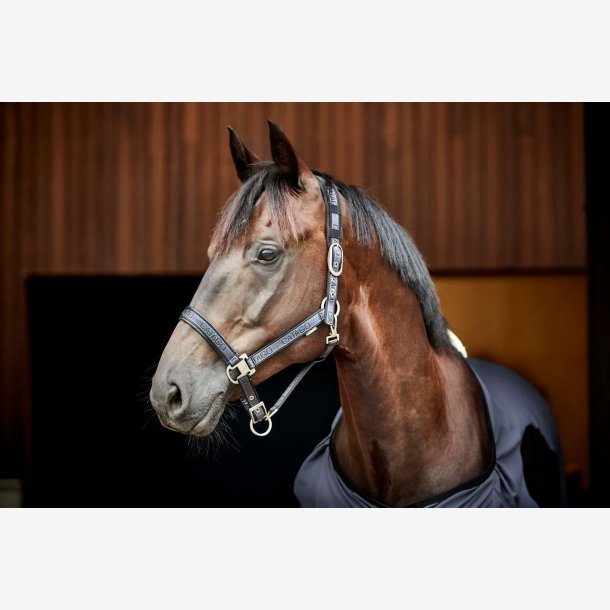 Catago Grime - Periscope