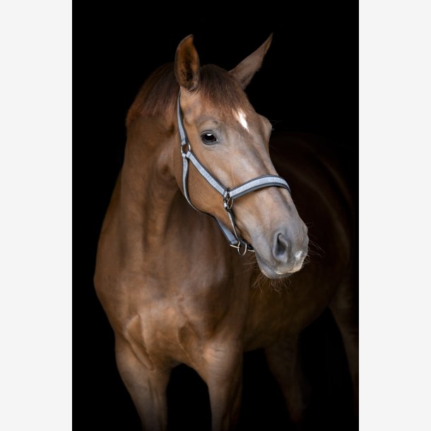 Catago Grime - Stone Blue