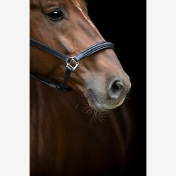 Catago Novi 25.2 ldergrime