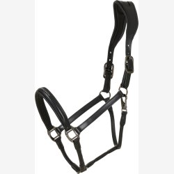 Catago Novi 25.2 ldergrime