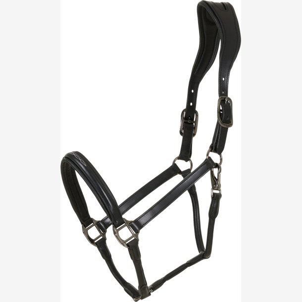 Catago Novi 25.2 ldergrime