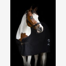 Catago Novi 25.2 ldergrime