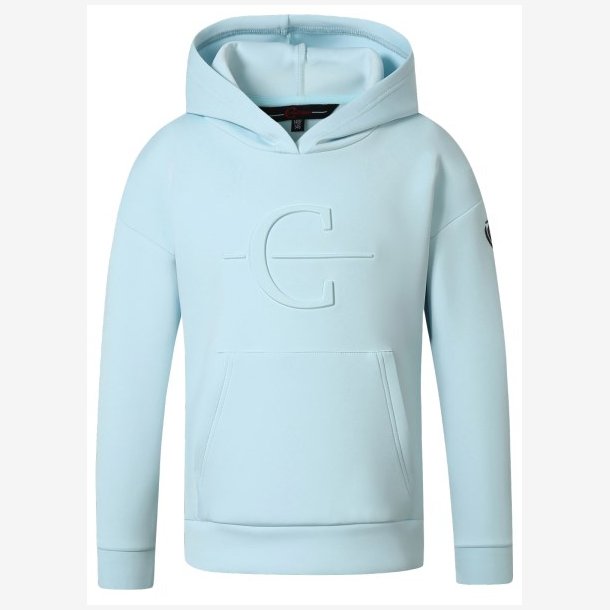 Covalliero Hoodie - Light Blue - Brn