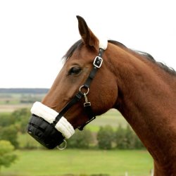 Covalliero Muzzle Teddy Fleece