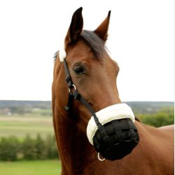 Covalliero Muzzle Teddy Fleece