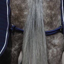 Weatherbeeta Thermocell Cooler Standard Neck Navy/White