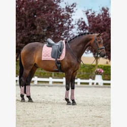 Equestrian Stockholm Brushing Boots - Pink