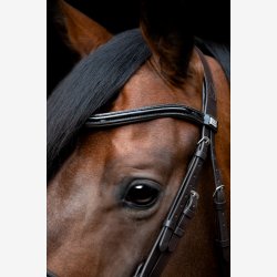 HG Cryll 24.1 trense komb.NB m/tilbagetrk - Brun