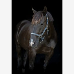 HG Malva grime - Asphalt