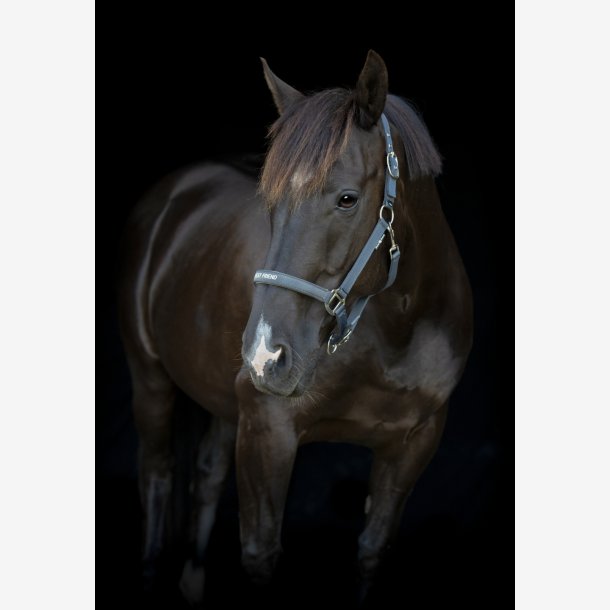 HG Malva grime - Asphalt