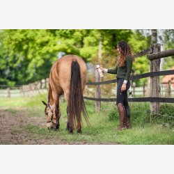 Bense &amp; Eicke Heste Deo Superfresh