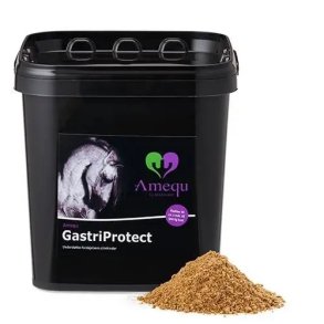 Amequ GastriProtect - 3 kg
