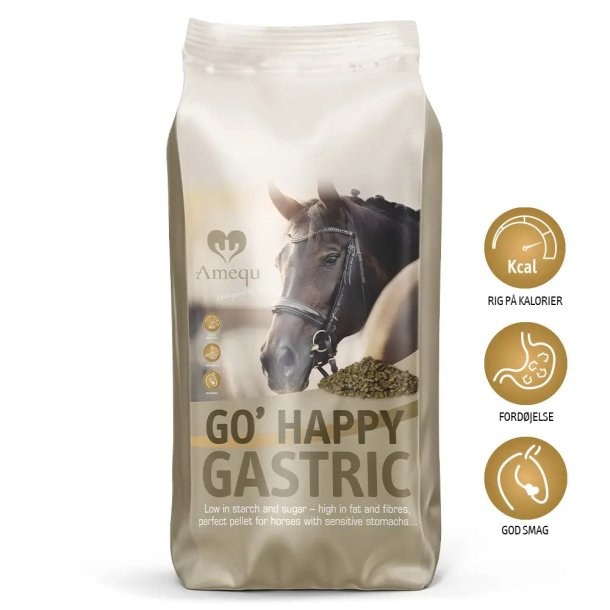 Amequ GO' Happy Gastric