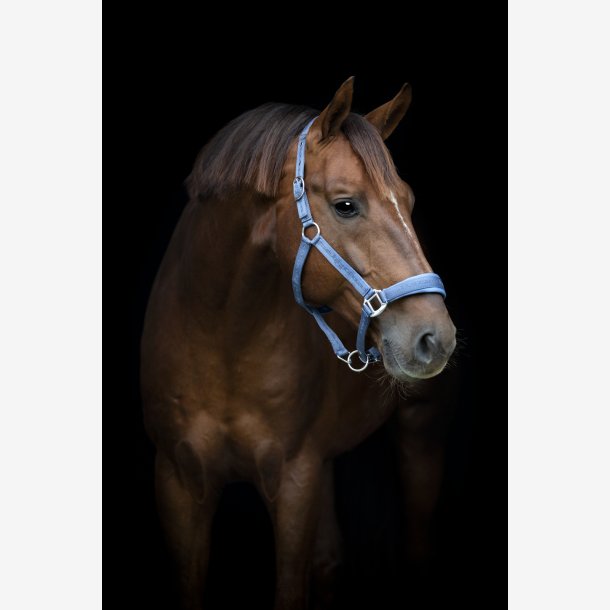 HG Diya 2.0 Grime - Dutch Blue