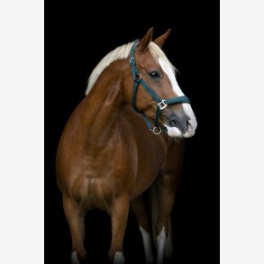 HG Diya 2.0 Grime - Ponderosa Pine