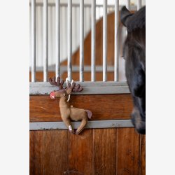 HG Hestelegetj - Rensdyr