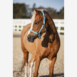 HG Malva grime - Aruba Blue