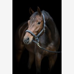 HG Vardia flet grime - Asphalt