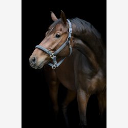 HG Vardia flet grime - Asphalt