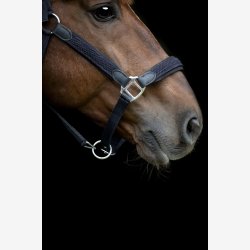 HG Vardia flet grime - Navy