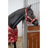 Horse Guard Jule grime