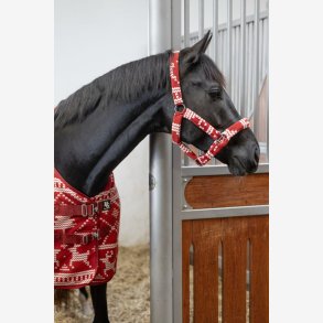 Horse Guard Jule grime