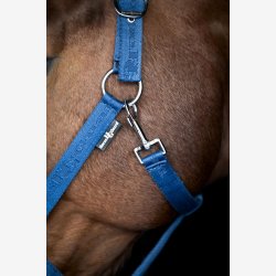 HorseGuard Diya 2.0 grime - Majolica Blue