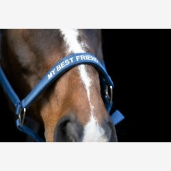 HorseGuard Malva grime - Majolica Blue