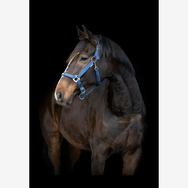 HorseGuard Malva grime - Majolica Blue