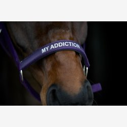 HorseGuard Malva grime - Purple Pennant