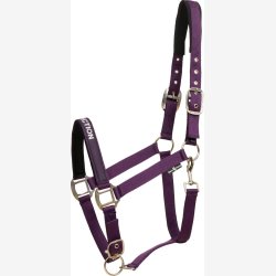 HorseGuard Malva grime - Purple Pennant