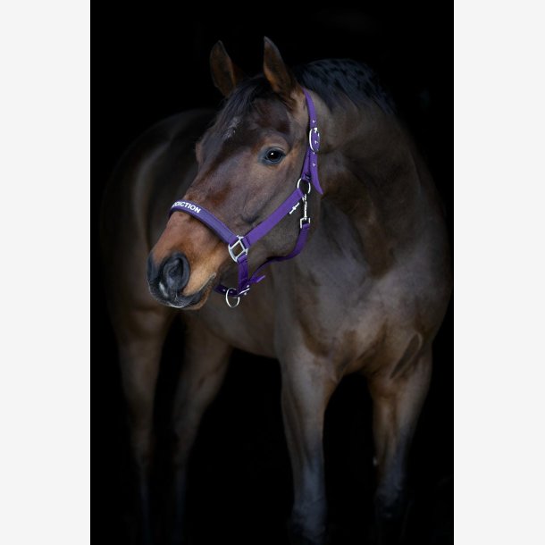 HorseGuard Malva grime - Purple Pennant