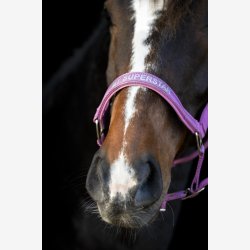 HorseGuard Malva grime - Red Violet
