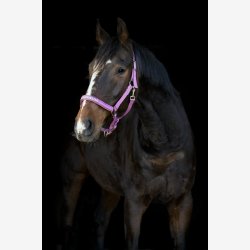 HorseGuard Malva grime - Red Violet