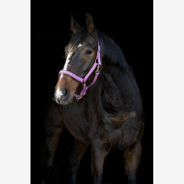 HorseGuard Malva grime - Red Violet