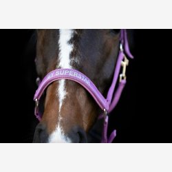 HorseGuard Malva grime - Red Violet