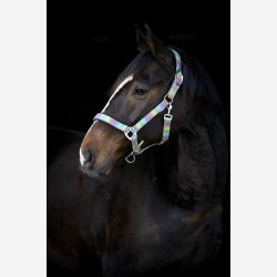 HorseGuard Rockford grime - Rainbow