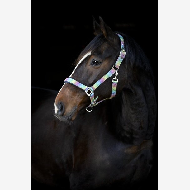 HorseGuard Rockford grime - Rainbow