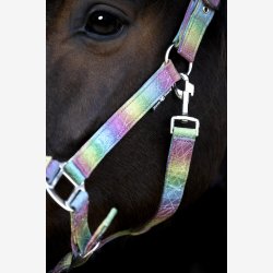 HorseGuard Rockford grime - Rainbow