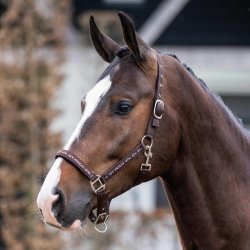 HV Polo Grime - Nena - Brun