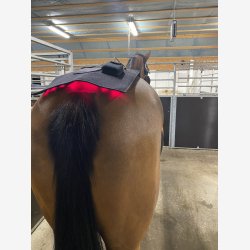 Riislund Light Therapy RED - PRO