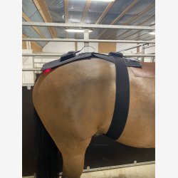 Riislund Light Therapy RED - PRO