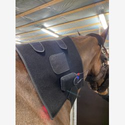 Riislund Light Therapy RED - PRO