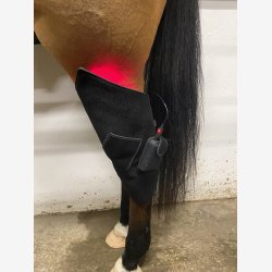 Riislund Light Therapy RED - PRO