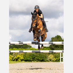 LeMieux Puissance Fly Hood - Sort - Full