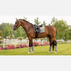 LeMieux Suede Dressage Square  - Fern - Full