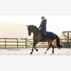 LeMieux Clima-Tek Exercise Quarter Sheet - Navy